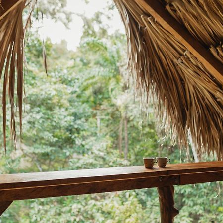 La Ponderosa Reserve 伯里塔卡 外观 照片