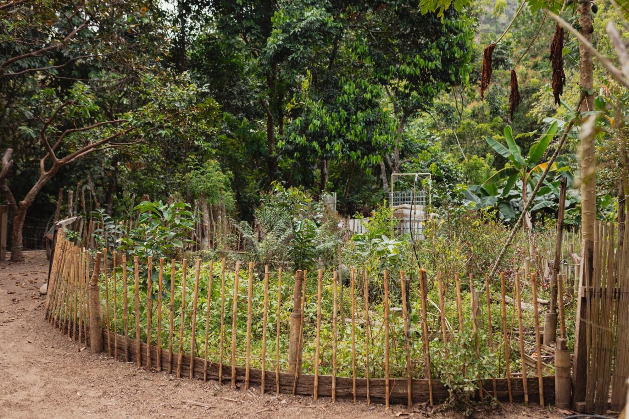 La Ponderosa Reserve 伯里塔卡 外观 照片