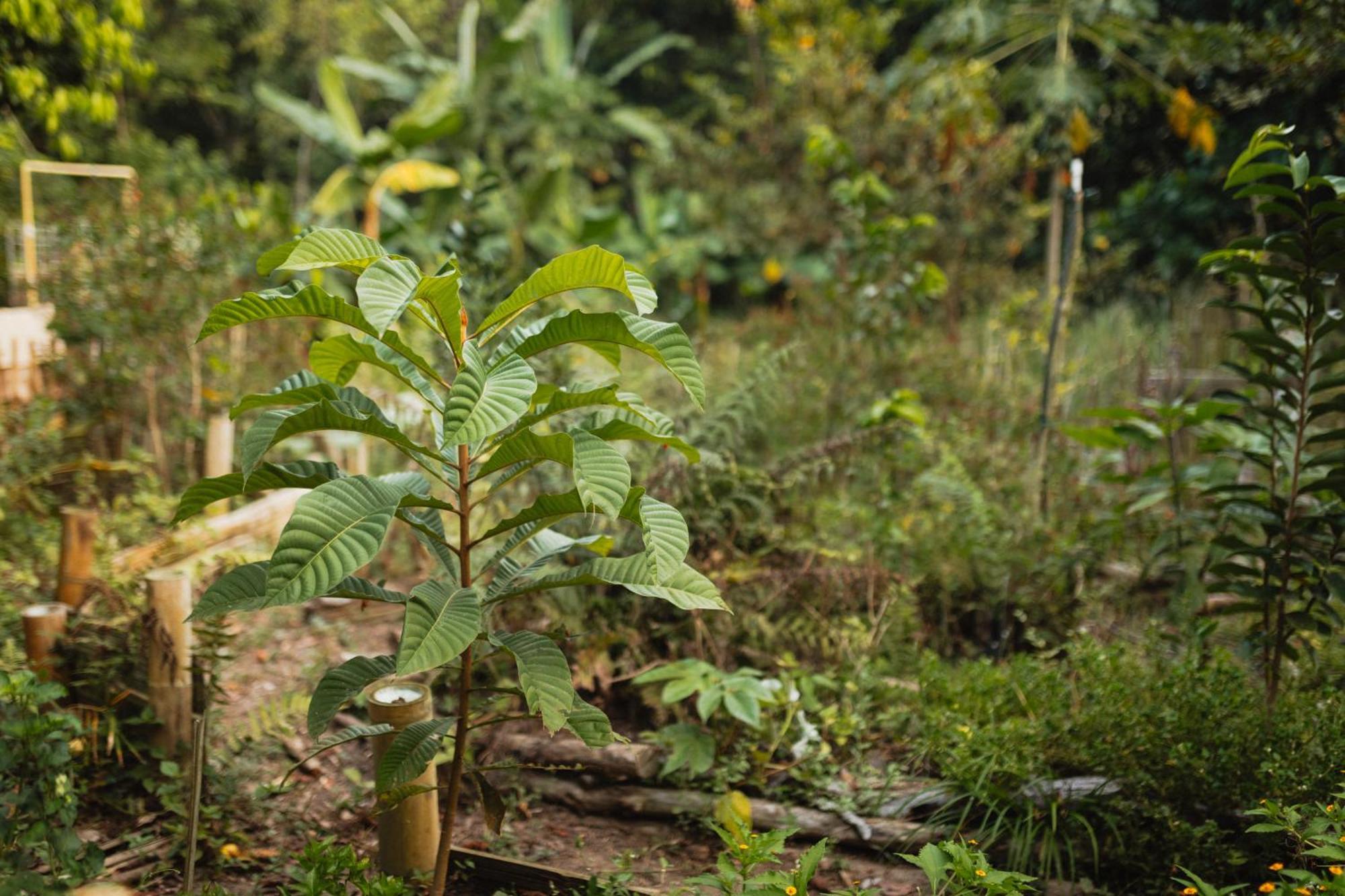 La Ponderosa Reserve 伯里塔卡 外观 照片