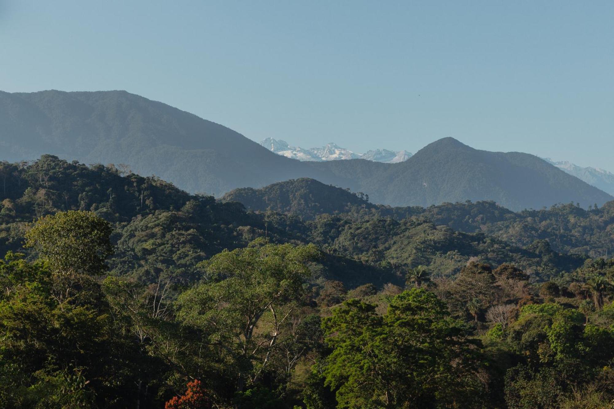 La Ponderosa Reserve 伯里塔卡 外观 照片