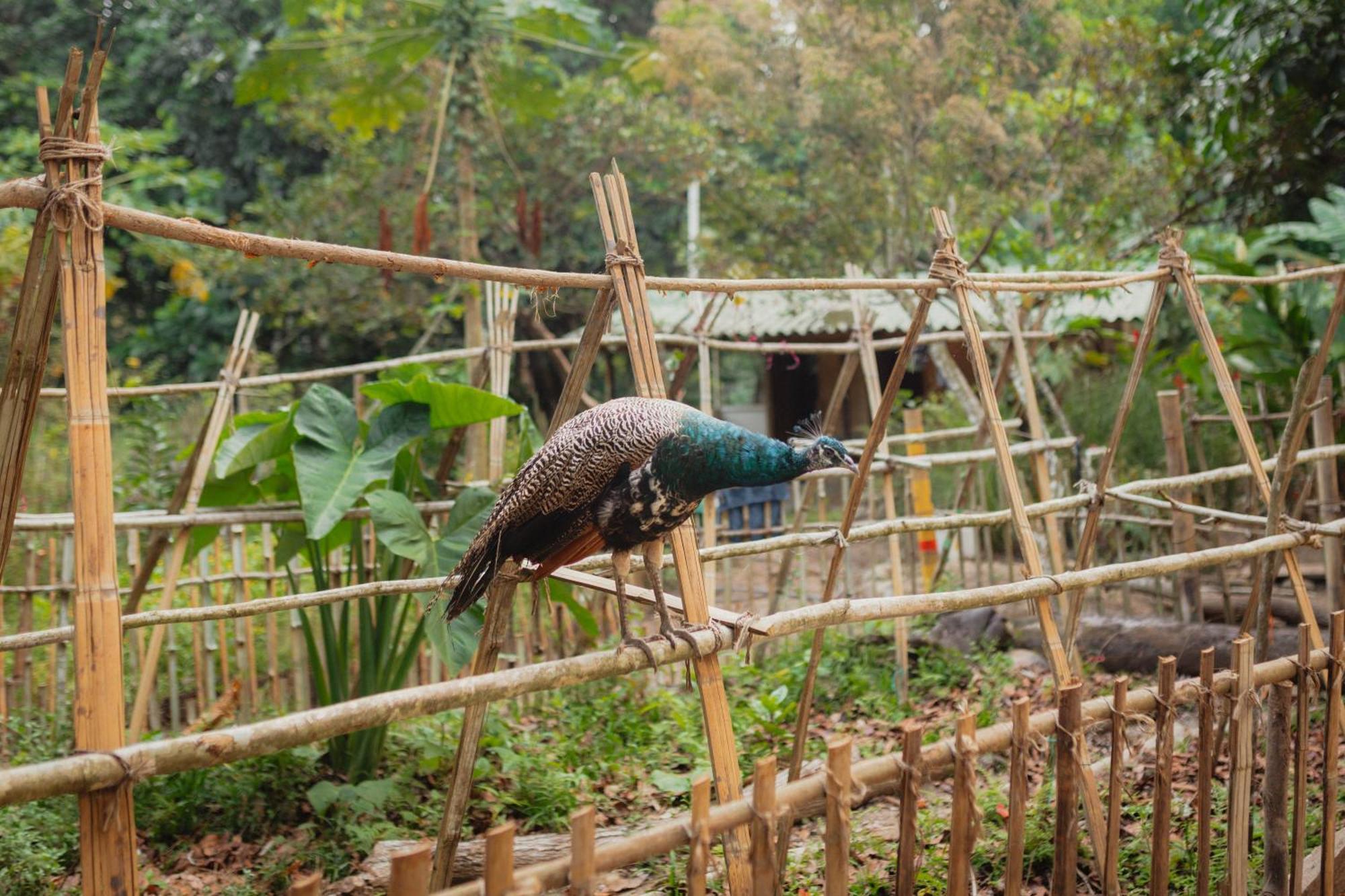 La Ponderosa Reserve 伯里塔卡 外观 照片