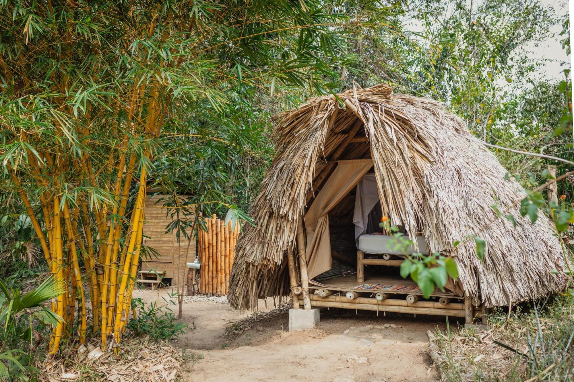 La Ponderosa Reserve 伯里塔卡 外观 照片